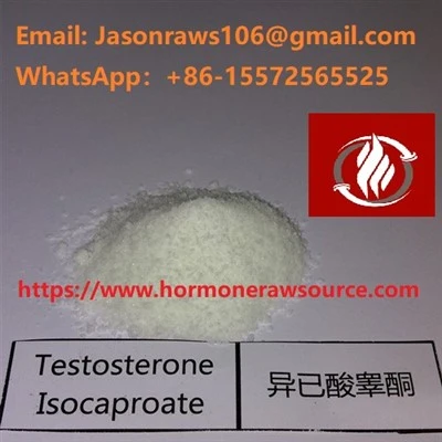 Testosteron Isocaproat Råmateriale Pulver Til Bodybuilding CAS:15262-86-9