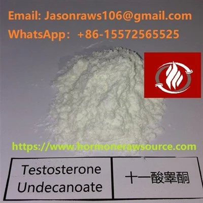 Testosteron Undecanoate steroider pulver til bodybuilding CAS: 5949-44-0